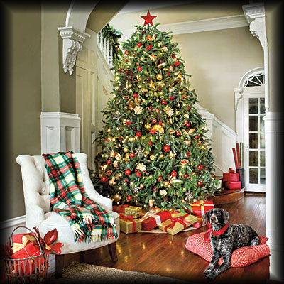 traditional-christmas-tree-l